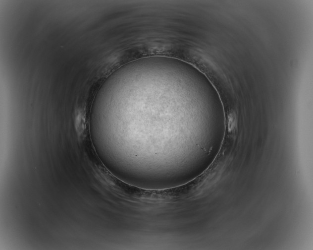 X0000088171011200705221617