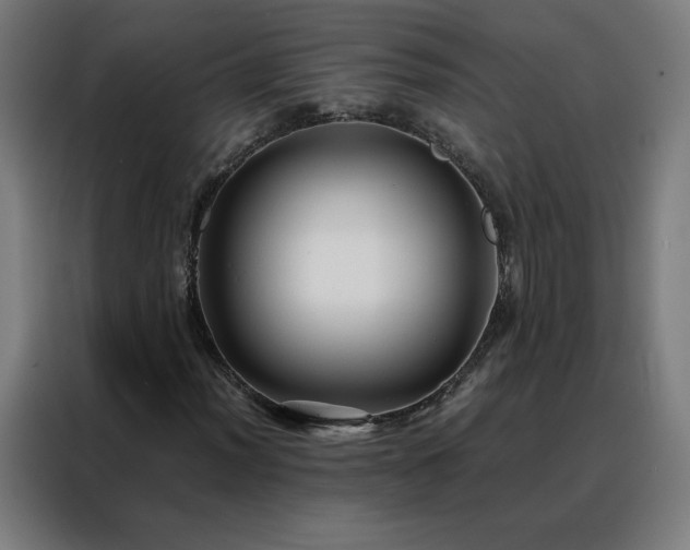 X0000088171012200705221617