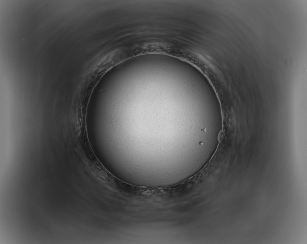 X0000088171015200705221617