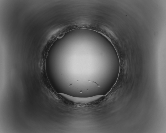 X0000088171016200705221617