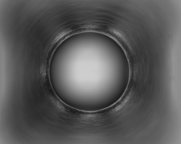 X0000088171017200705221617