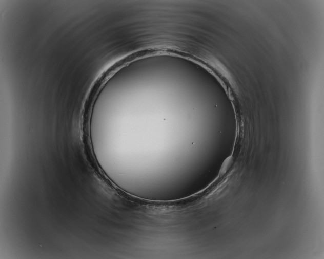 X0000088171020200705221617