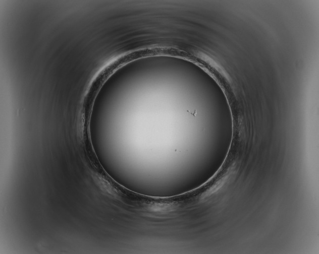 X0000088171021200705221617