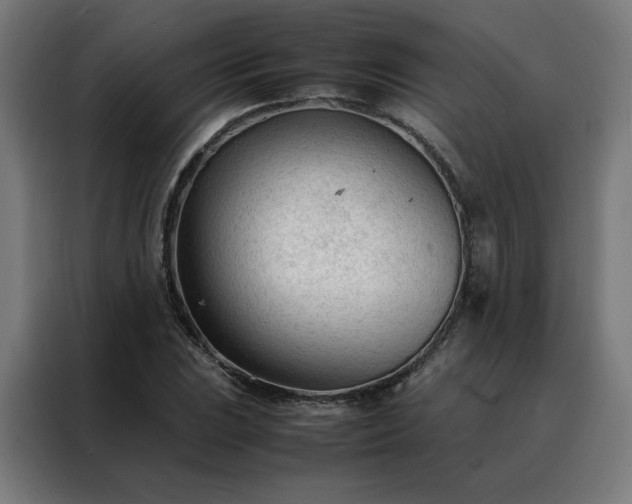 X0000088171023200705221617