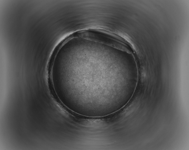 X0000088171024200705221617