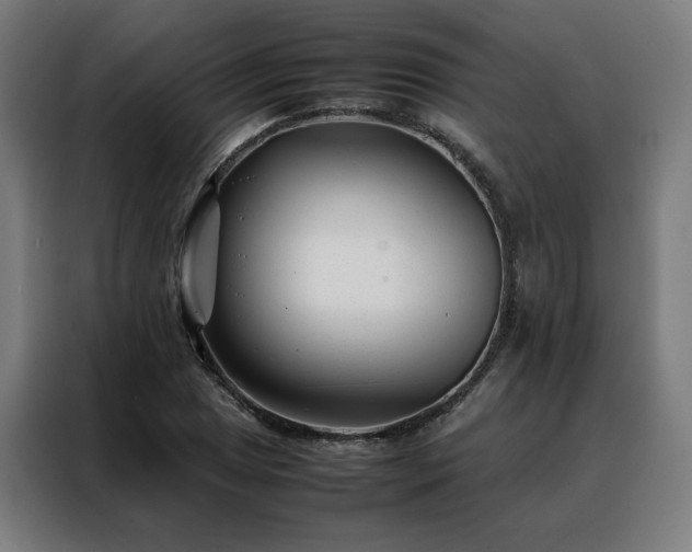 X0000088171025200705221617