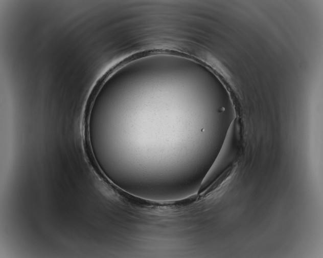 X0000088171028200705221617