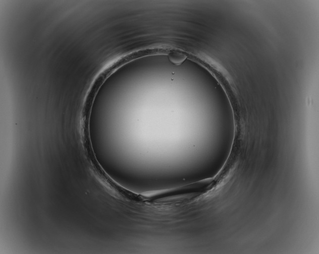 X0000088171029200705221617