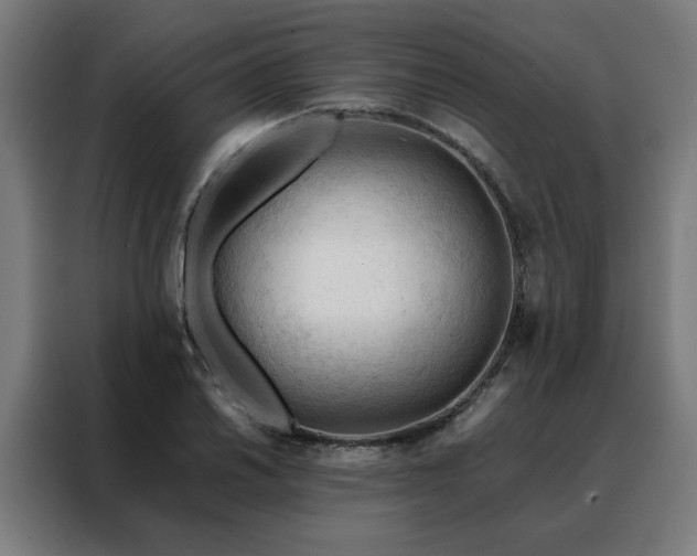 X0000088171030200705221617