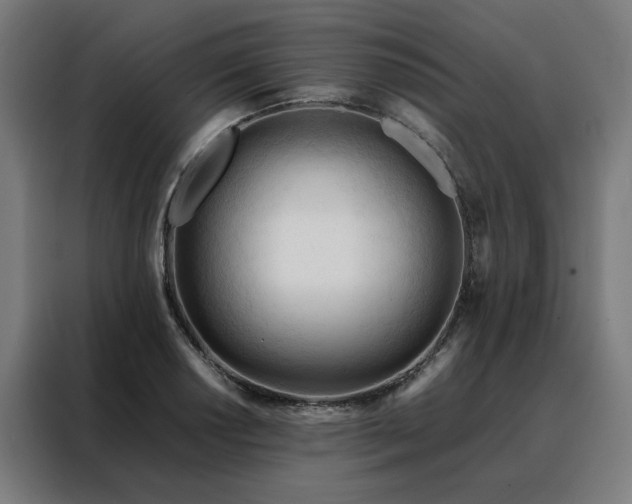 X0000088171034200705221617