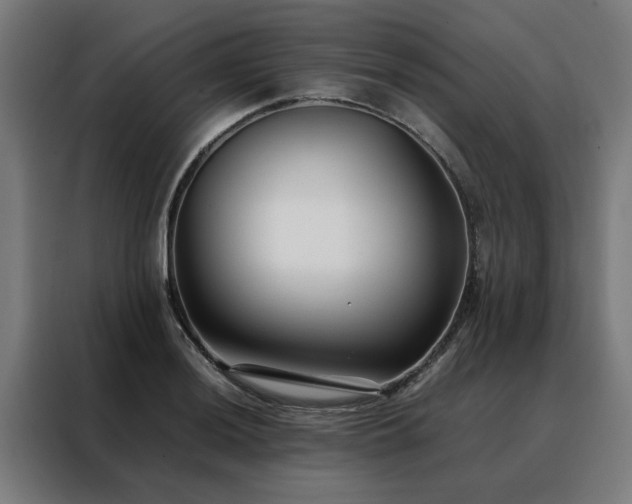 X0000088171036200705221617