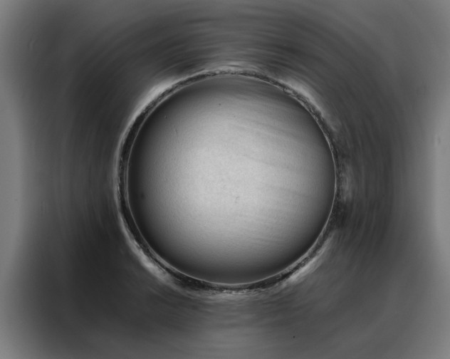 X0000088171038200705221617