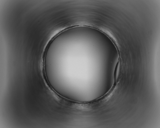 X0000088171040200705221618