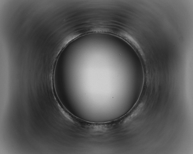 X0000088171041200705221618