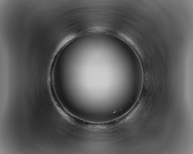 X0000088171042200705221618