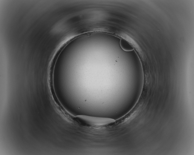 X0000088171043200705221618