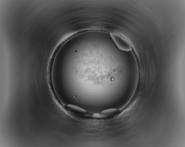 X0000088171045200705221618