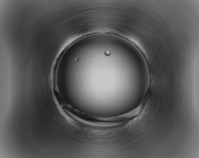 X0000088171046200705221618