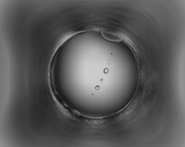 X0000088171047200705221618