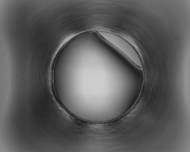 X0000088171048200705221618