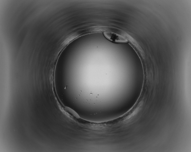 X0000088171049200705221618