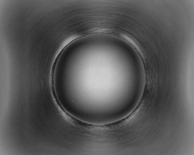 X0000088171050200705221618