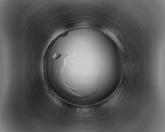 X0000088171051200705221618