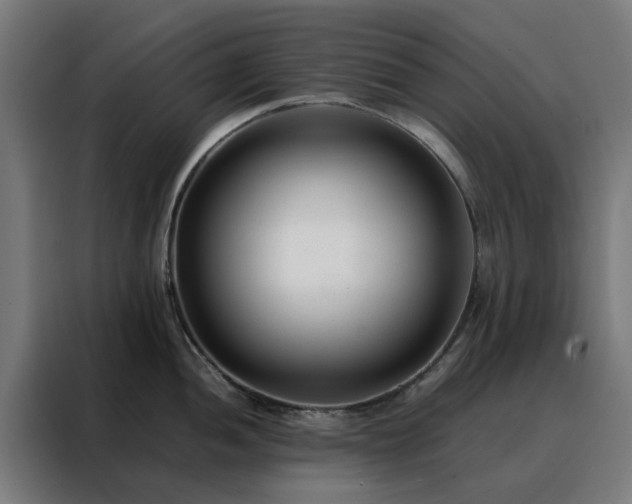 X0000088171052200705221618