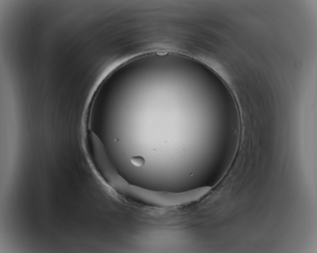 X0000088171056200705221618