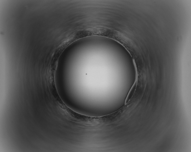 X0000088171058200705221617