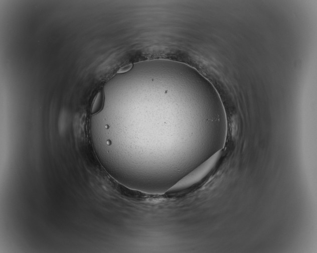 X0000088171059200705221617