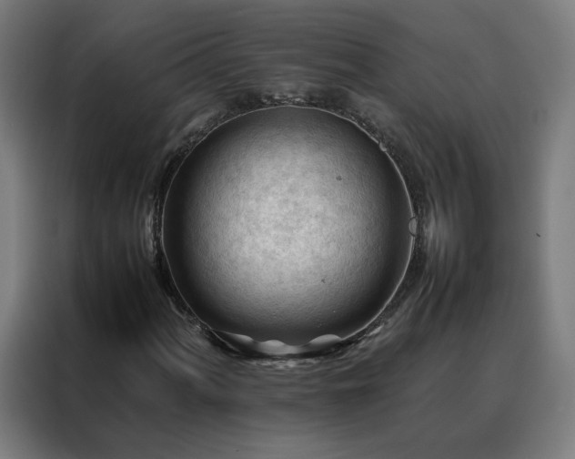 X0000088171060200705221617