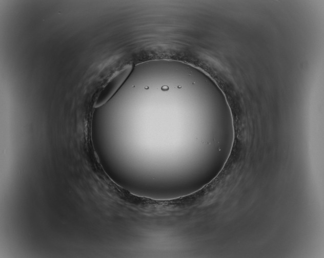 X0000088171061200705221617