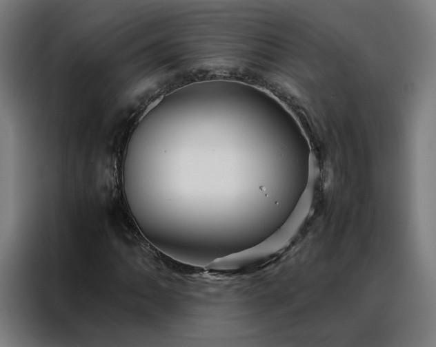 X0000088171062200705221617