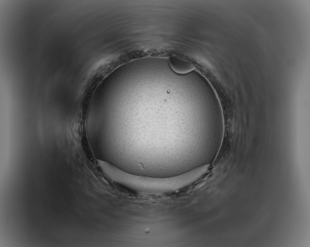 X0000088171063200705221617