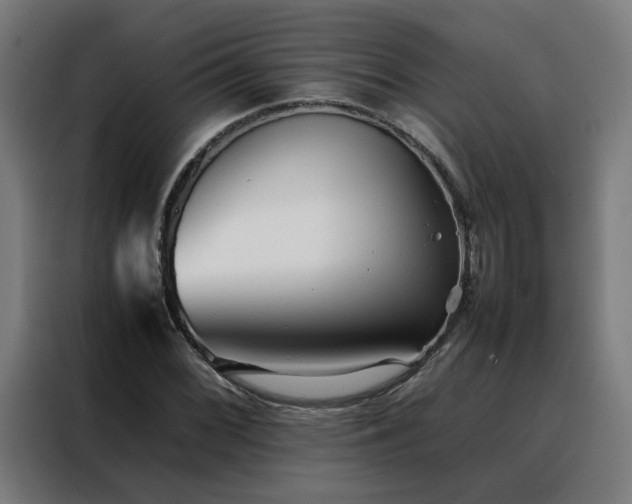 X0000088171068200705221617