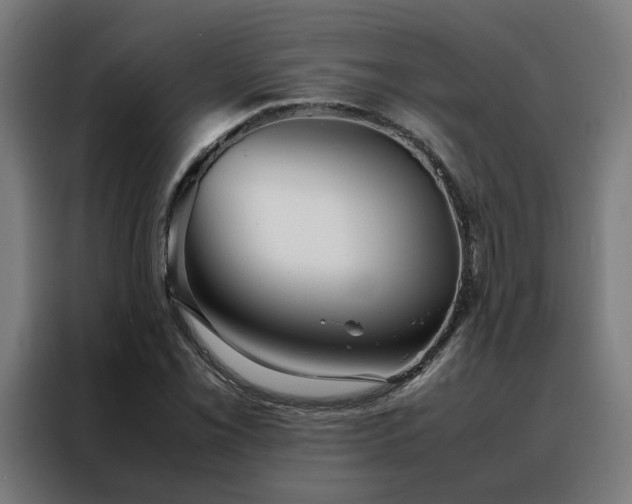 X0000088171069200705221617