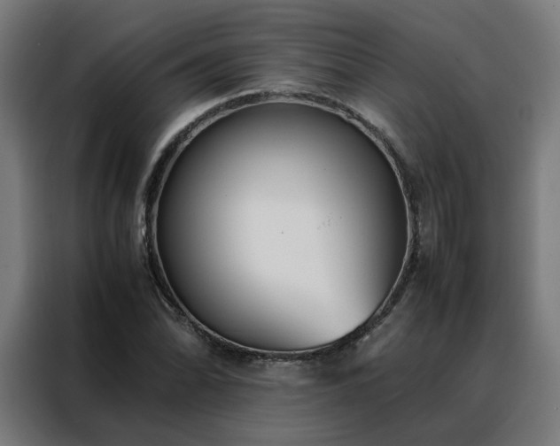 X0000088171070200705221617