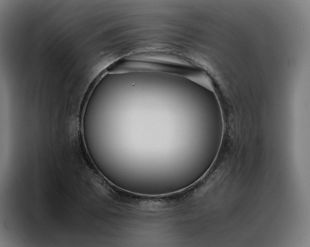 X0000088171073200705221617