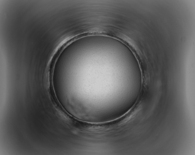 X0000088171075200705221617