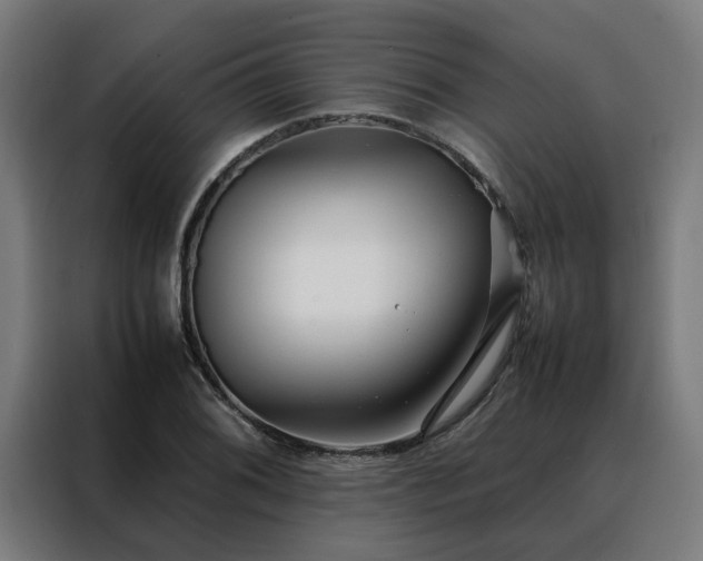 X0000088171076200705221617