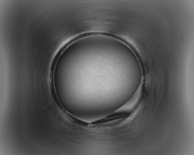 X0000088171077200705221617