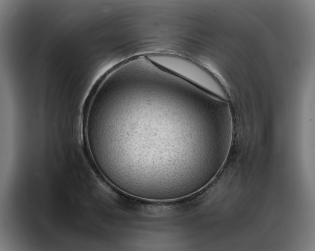 X0000088171079200705221617