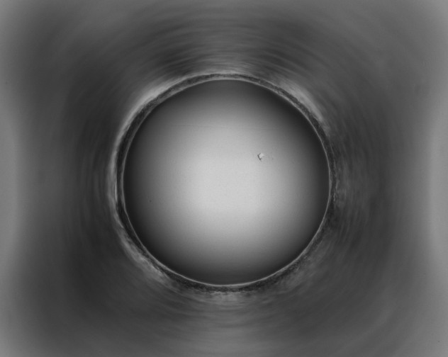 X0000088171080200705221617