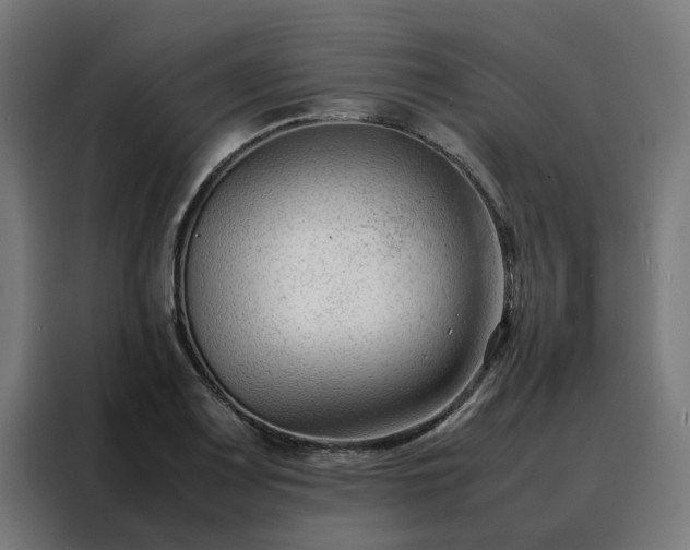 X0000088171083200705221617