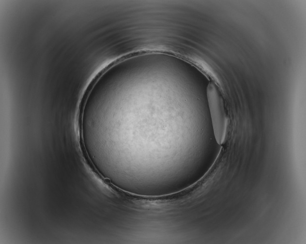 X0000088171084200705221617