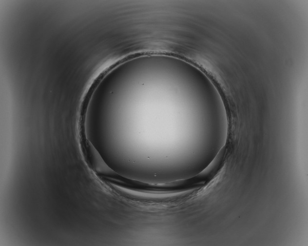 X0000088171085200705221617