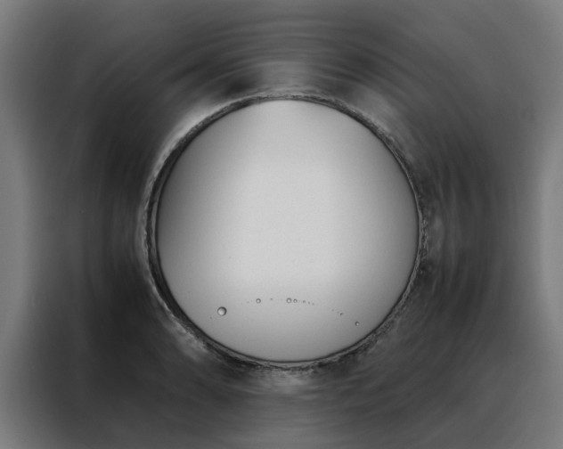 X0000088171086200705221617