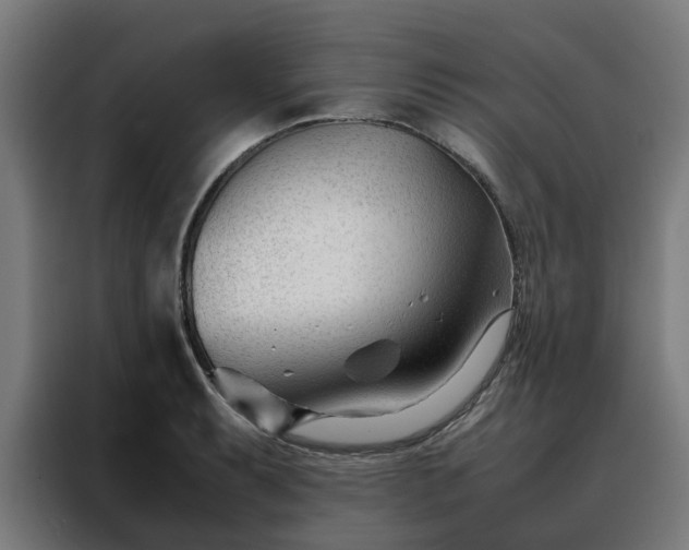 X0000088171087200705221617