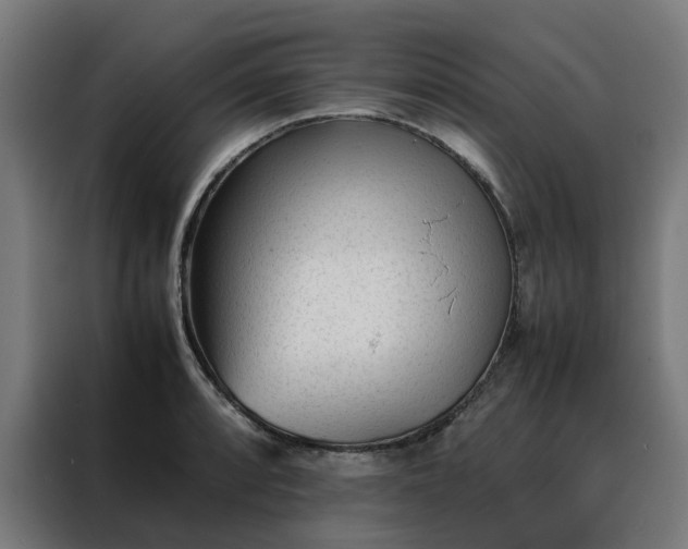 X0000088171088200705221617